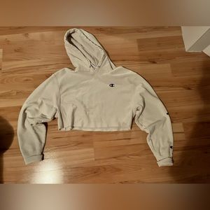Champion cropped hoodie